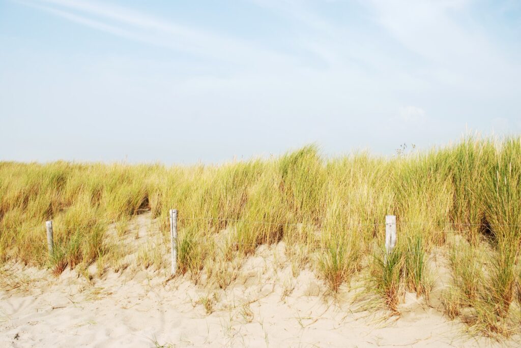 Exemple de boutique en ligne de photographie nature